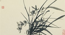 警犬技术师招生简章