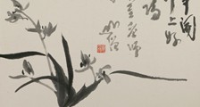 边防管理师招生简章
